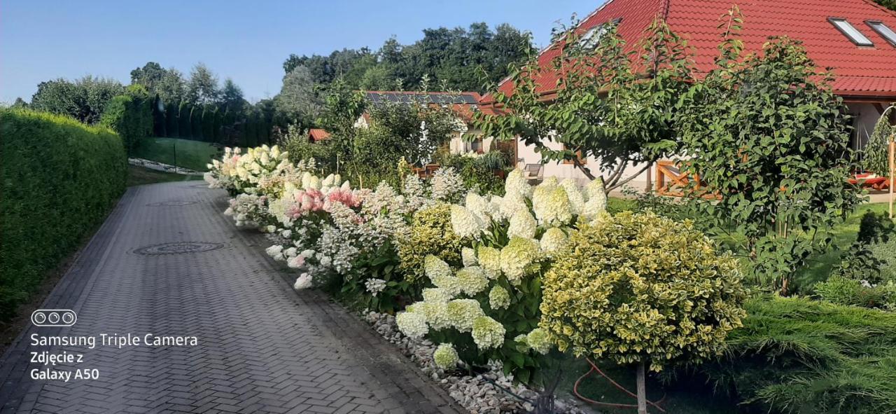 Apartment Hortensjowy Zakatek Szalejow Gorny