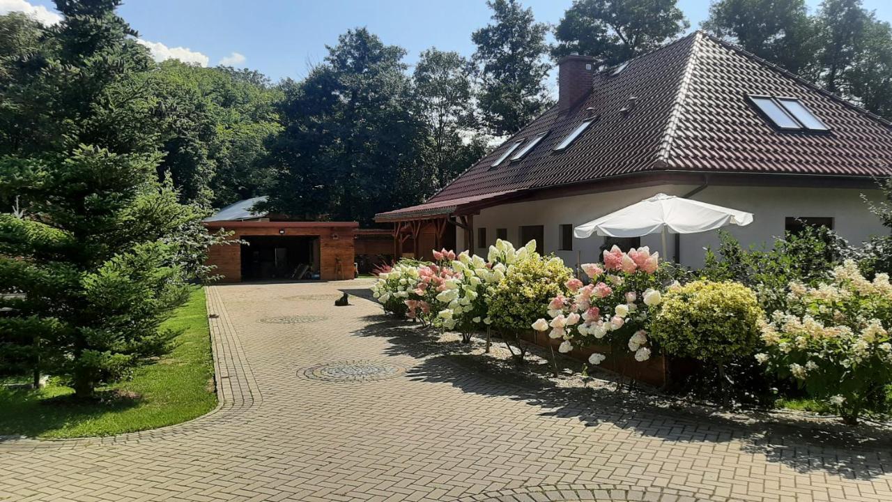Hortensjowy Zakatek Apartment *